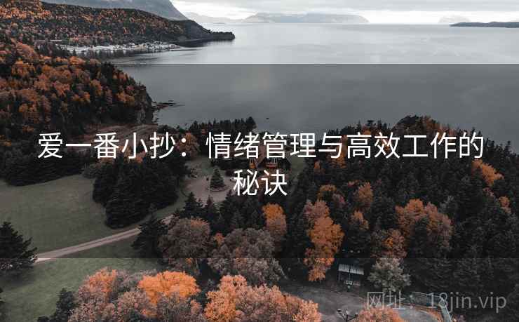 爱一番小抄：情绪管理与高效工作的秘诀