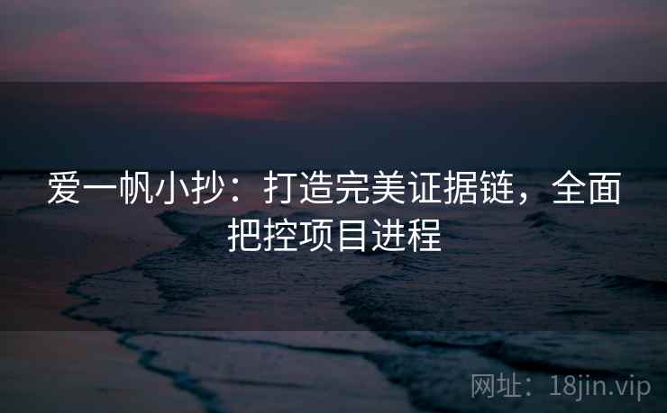 爱一帆小抄：打造完美证据链，全面把控项目进程