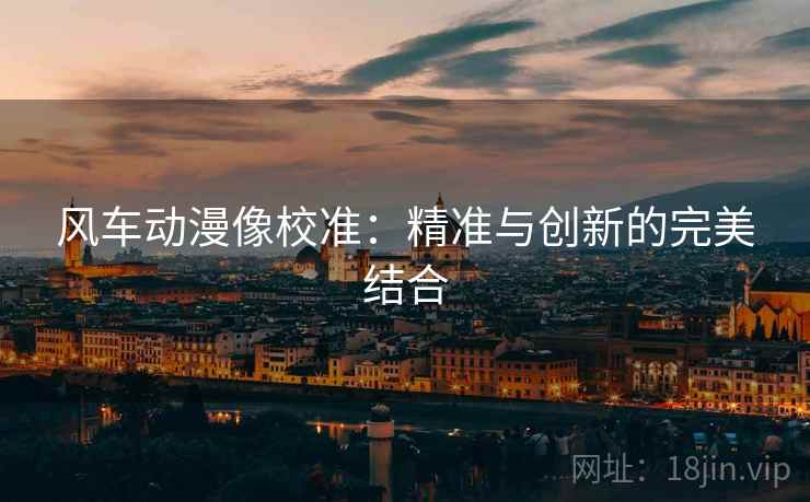 风车动漫像校准：精准与创新的完美结合