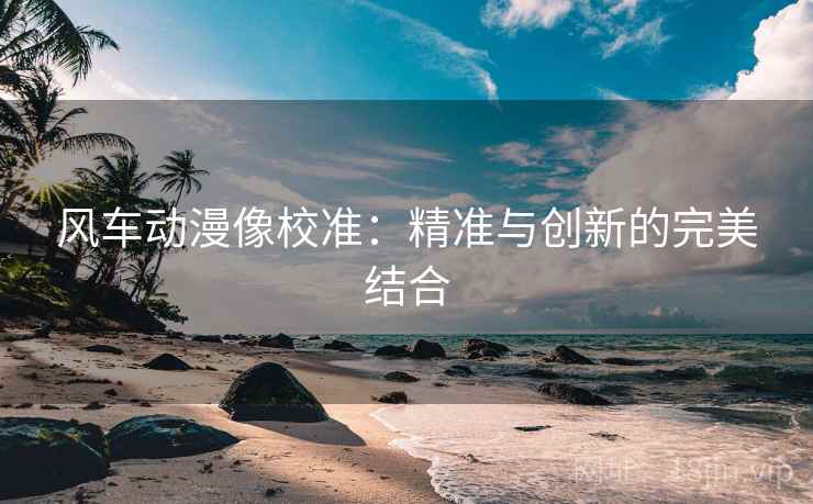 风车动漫像校准：精准与创新的完美结合