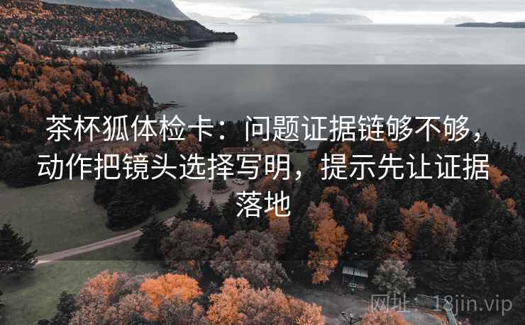 茶杯狐体检卡:问题证据链够不够,动作把镜头选择写明,提示先让证据落地 茶杯狐体检卡:问题证据链够不够,动作把镜头选择写明,提示先让证据落地